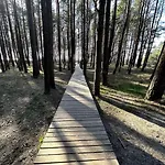 Apartment Laikas Jurai-atostogu Namas Palanga