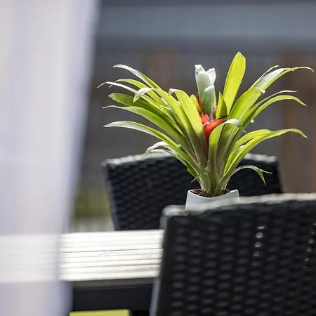 Laikas Jurai-atostogu Namas 아파트