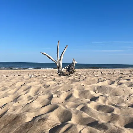 Laikas Jurai-atostogu Namas Palanga