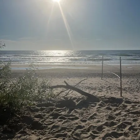 Laikas Jurai-atostogu Namas 아파트 *