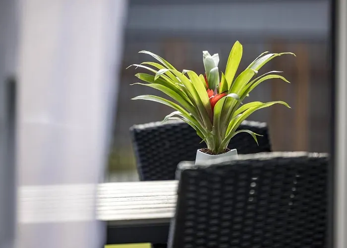 Laikas Jurai-atostogu Namas شقة