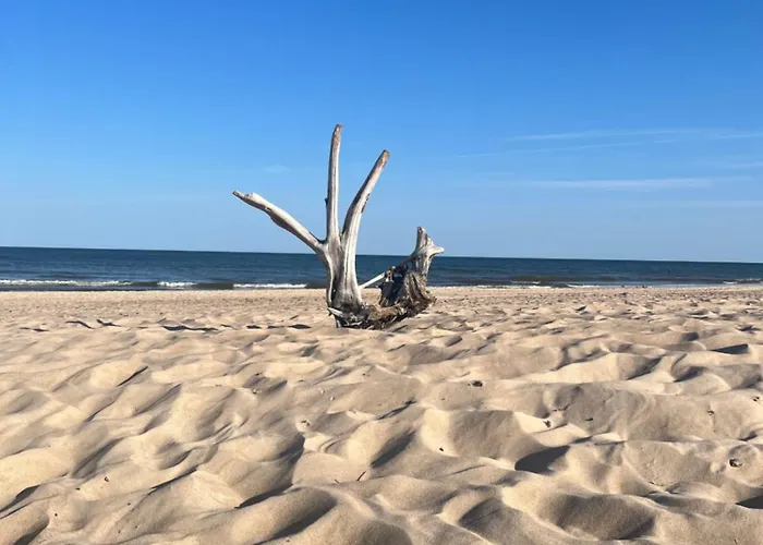 Laikas Jurai-atostogu Namas Palanga
